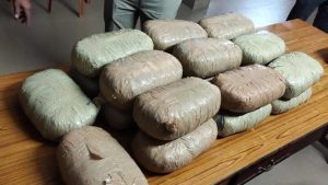 ganja seizure