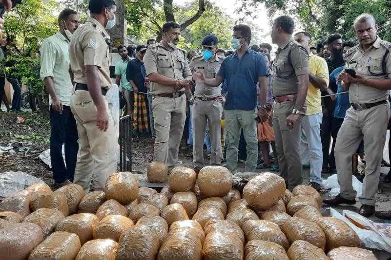 ganja seizure1