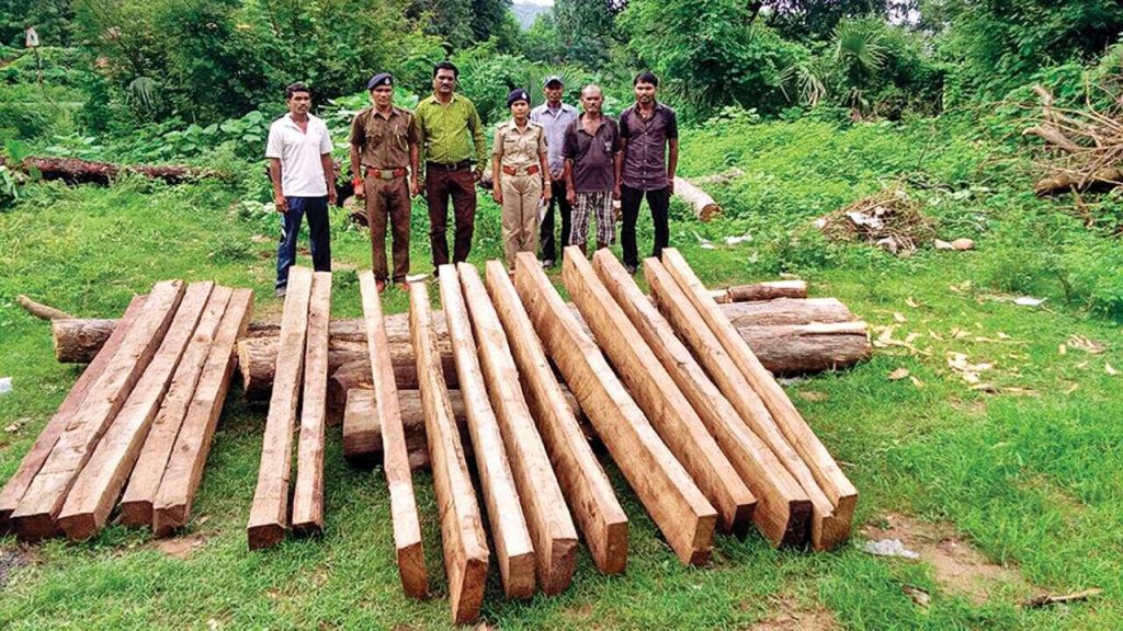 police launch probe into smuggling of teak trees 1