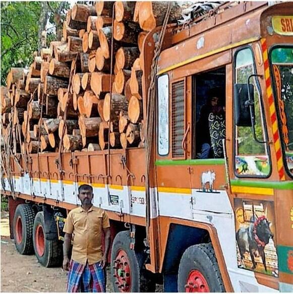 police launch probe into smuggling of teak trees