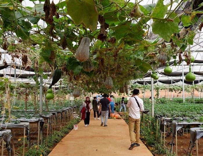 kozhikode agri farm tourism project expands