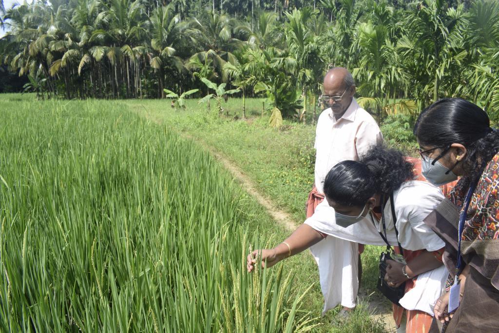 krishi bhavans continue supporting farmers across kozhikode2