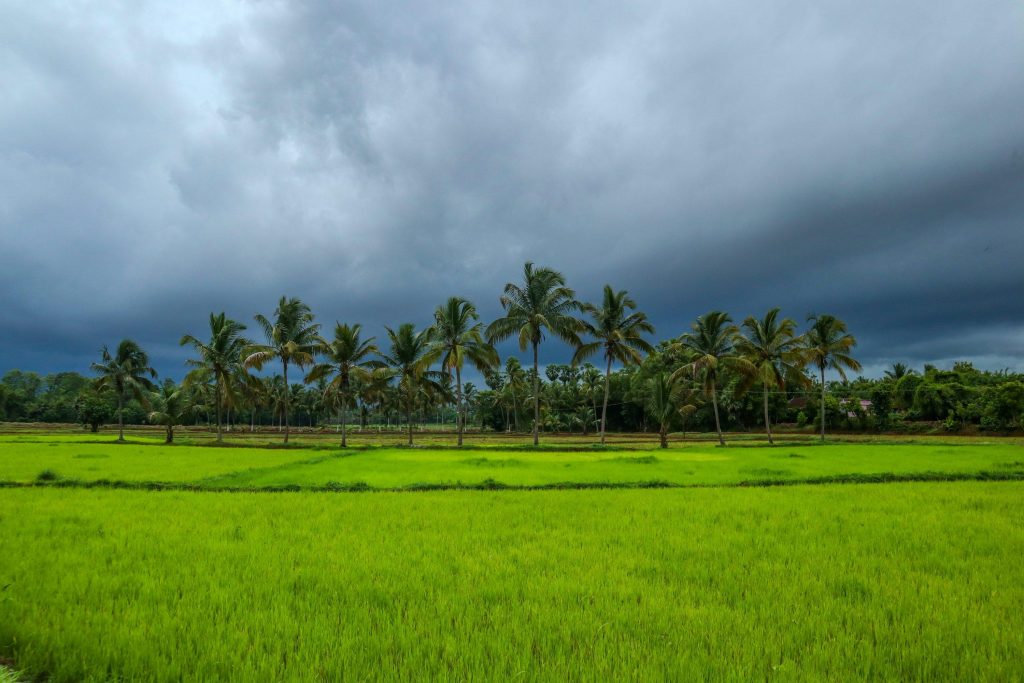 monsoon conditions remain important for kozhikode agriculture