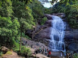 Home nature and water fall