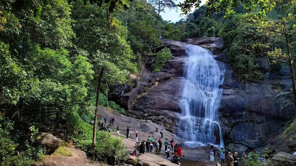 nature and water fall